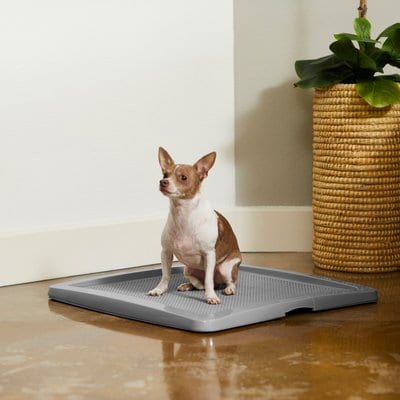 Frisco Frisco Training Pad Holder, 24-in x 24-in