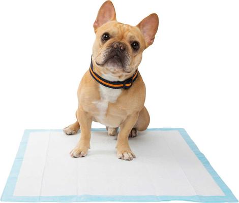 Show full view: Frisco Training & Potty Pads, 22-in x 23-in, 150 count, + Extra Large, 28-in x 34-in, 40 count slide 5 of 10