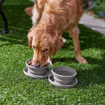 Show full view: Frisco Travel Collapsible Silicone Dog & Cat Bowl, Gray, Medium: 3 cup slide 7 of 10