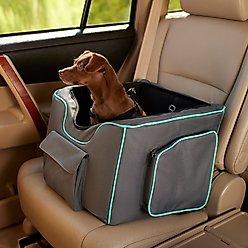 Frisco Travel Dog Bucket Booster Seat, Gray/Teal, Regular