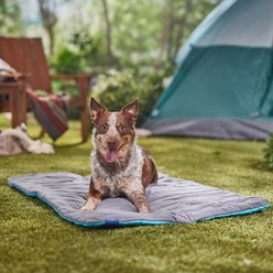 Frisco Travel Pillow Dog Mat Bed with Reusable Storage Bag, Blue Curaçao, Large