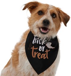 Frisco Trick or Treat Dog & Cat Bandana Costume, Medium/Large