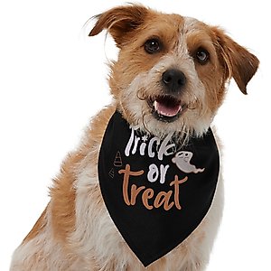 Frisco Mommy's Lil Pumpkin Dog & Cat Bandana Costume