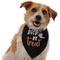 Show in main carousel: Frisco Trick or Treat Dog & Cat Bandana Costume, Halloween Black, Medium/Large slide 1 of 7