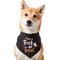 Show in main carousel: Frisco Trick or Treat Dog & Cat Bandana Costume, Halloween Black, X-Small/Small slide 3 of 8