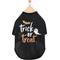 Show in main carousel: Frisco Trick or Treat Dog & Cat T-Shirt, Small slide 5 of 10