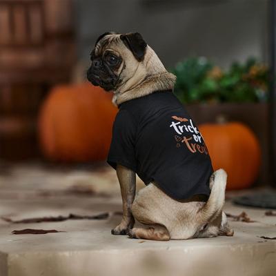 Show full view: Frisco Trick or Treat Dog & Cat T-Shirt, Small slide 8 of 10
