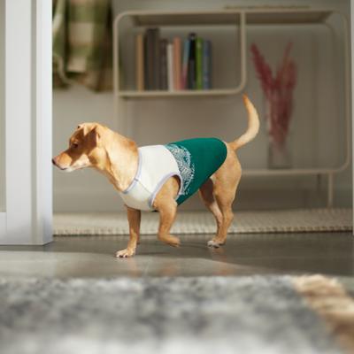 Show full view: Frisco Tropical Palm Dog & Cat T-Shirt, Large slide 5 of 7