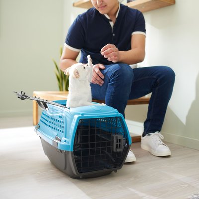 Frisco Frisco Two Door Top Load Plastic Dog & Cat Kennel, Blue, 22-in