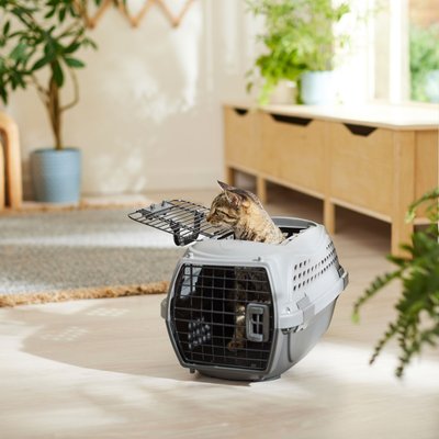 Frisco Frisco Two Door Top Load Plastic Dog & Cat Kennel, Grey, 20-in