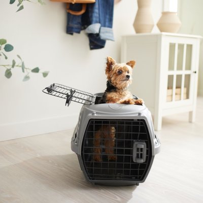 Frisco Frisco Two Door Top Load Plastic Dog & Cat Kennel, Grey, 22-in