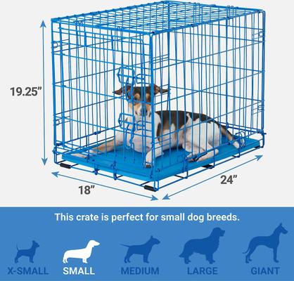 Show full view: Frisco Two Door Top Load Plastic Kennel, 24-in + Fold & Carry Single Door Collapsible Wire Dog Crate, Blue, 24 inch slide 7 of 9