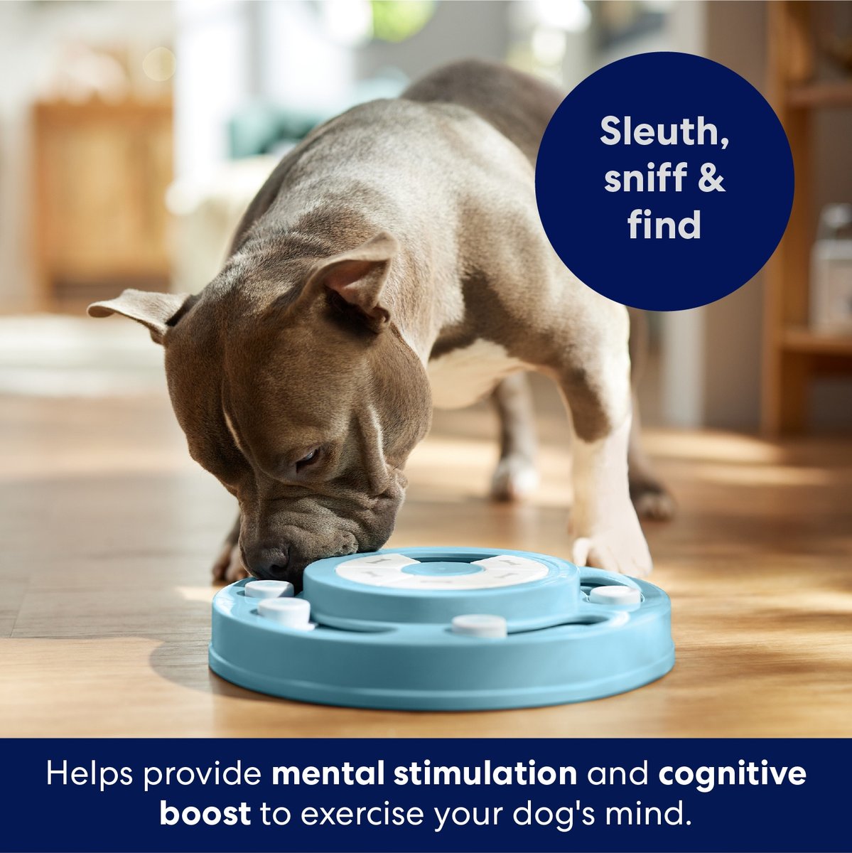 Frisco Two Tier Interactive Puzzle Dog Toy, Level 1
