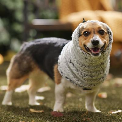 Show full view: Frisco Two-Tone Cozy Sherpa Dog Snood, Medium/Large slide 5 of 9