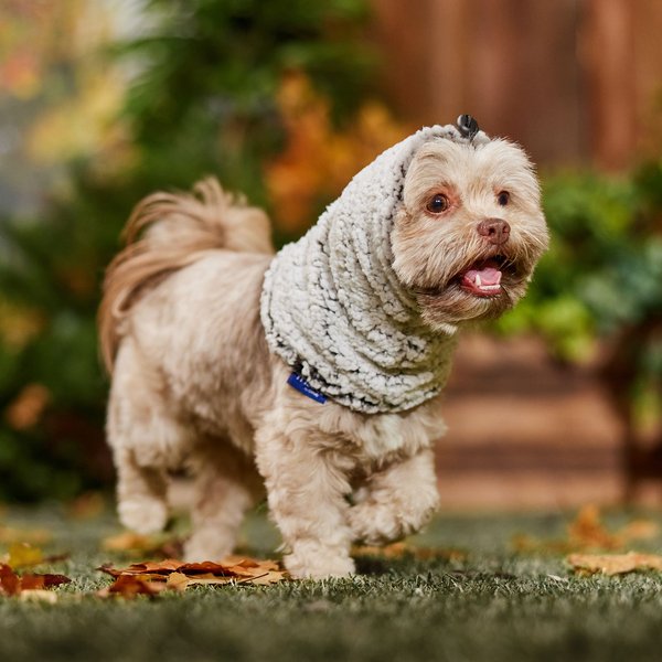 Frisco Two-Tone Cozy Sherpa Dog Snood