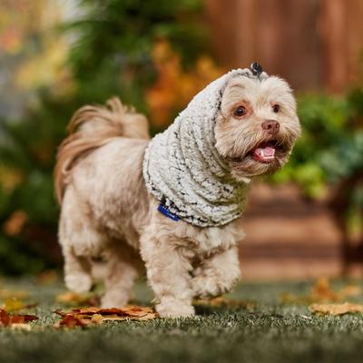 Show full view: Frisco Two-Tone Cozy Sherpa Dog Snood, X-Small/Small slide 5 of 9