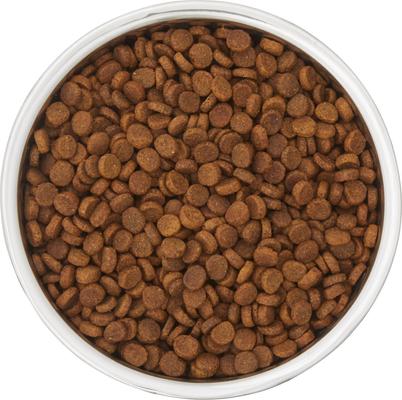 Show full view: Frisco Two-Toned Double Wall Insulated Indoor Dog & Cat Bowl, 6-Cup, 2 count, Mint slide 5 of 9