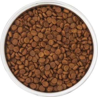 Show full view: Frisco Two-Toned Double Wall Insulated Indoor Dog & Cat Bowl, Black, Medium: 6 cup, 1 count slide 5 of 9