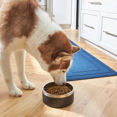 Show full view: Frisco Two-Toned Double Wall Insulated Indoor Dog & Cat Bowl, Black, Medium: 6 cup, 1 count slide 7 of 9