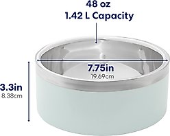 Frisco Two-Toned Double Wall Insulated Indoor Dog & Cat Bowl, Mint, Medium: 6 cup, 1 count slide 2 of 7