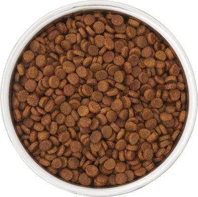 Show full view: Frisco Two-Toned Double Wall Insulated Indoor Dog & Cat Bowl, Mint, Medium: 6 cup, 1 count slide 6 of 10