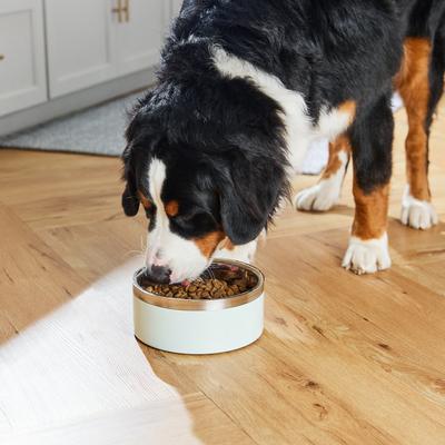 Show full view: Frisco Two-Toned Double Wall Insulated Indoor Dog & Cat Bowl, Mint, Medium: 6 cup, 1 count slide 8 of 10