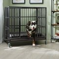 Frisco Ultimate Heavy Duty Steel Metal Single Door Dog Crate, Large