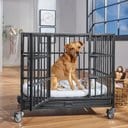 Frisco Ultimate Heavy Duty Steel Metal Single Door Dog Crate, Medium