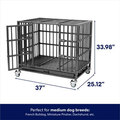Show full view: Frisco Ultimate Heavy Duty Steel Metal Single Door Dog Crate, Medium slide 2 of 9