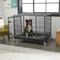 Show in main carousel: Frisco Ultimate Lightweight Heavy Duty Foldable & Stackable Steel Metal Single Door Dog Crate, Large slide 1 of 11