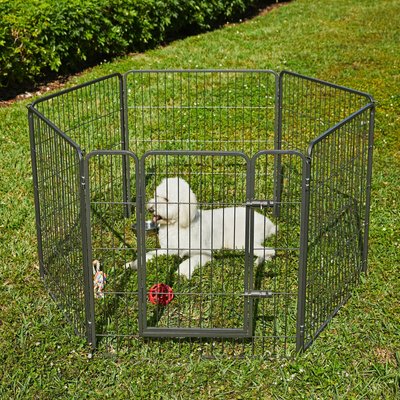 Frisco Frisco Ultimate Outdoor Heavy Duty Steel Metal Playpen, 1 count