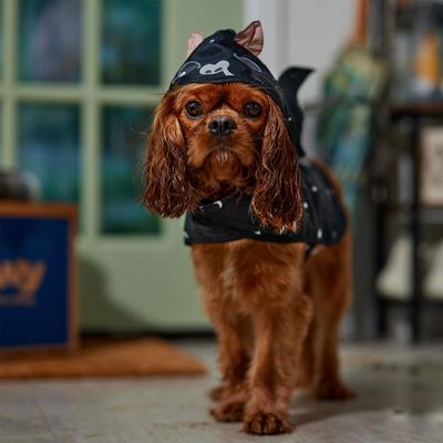 Show full view: Frisco Ultra Light Weight Bat Dog Raincoat, Small slide 7 of 9