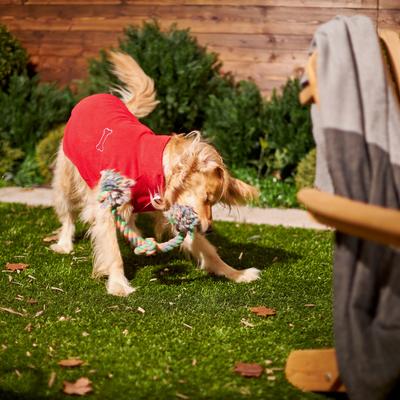 Show full view: Frisco Ultra lightweight Basic Dog & Cat Fleece Vest, Red, Small slide 7 of 8
