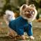 Show in main carousel: Frisco Ultra Lightweight Dog & Cat Windbreaker with Removable Hood, Dark Blue, Small slide 8 of 12