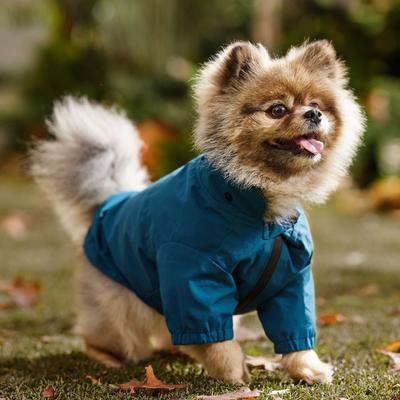 Show full view: Frisco Ultra Lightweight Dog & Cat Windbreaker with Removable Hood, Dark Blue, Small slide 8 of 12