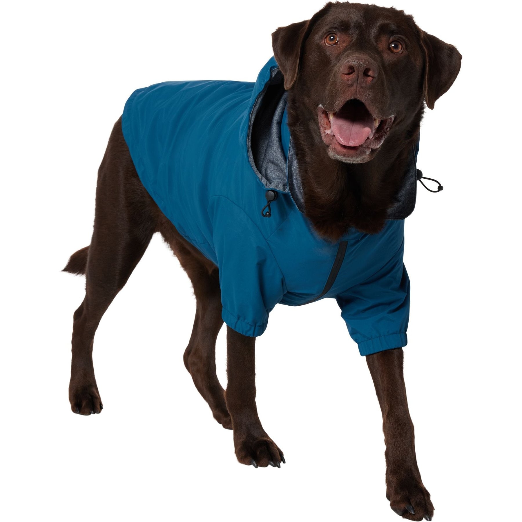 Frisco Ultra Lightweight Dog & Cat Windbreaker with Removable Hood, Dark Blue, XX-Large