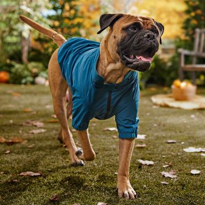 Show full view: Frisco Ultra Lightweight Dog & Cat Windbreaker with Removable Hood, Dark Blue, XX-Large slide 7 of 11