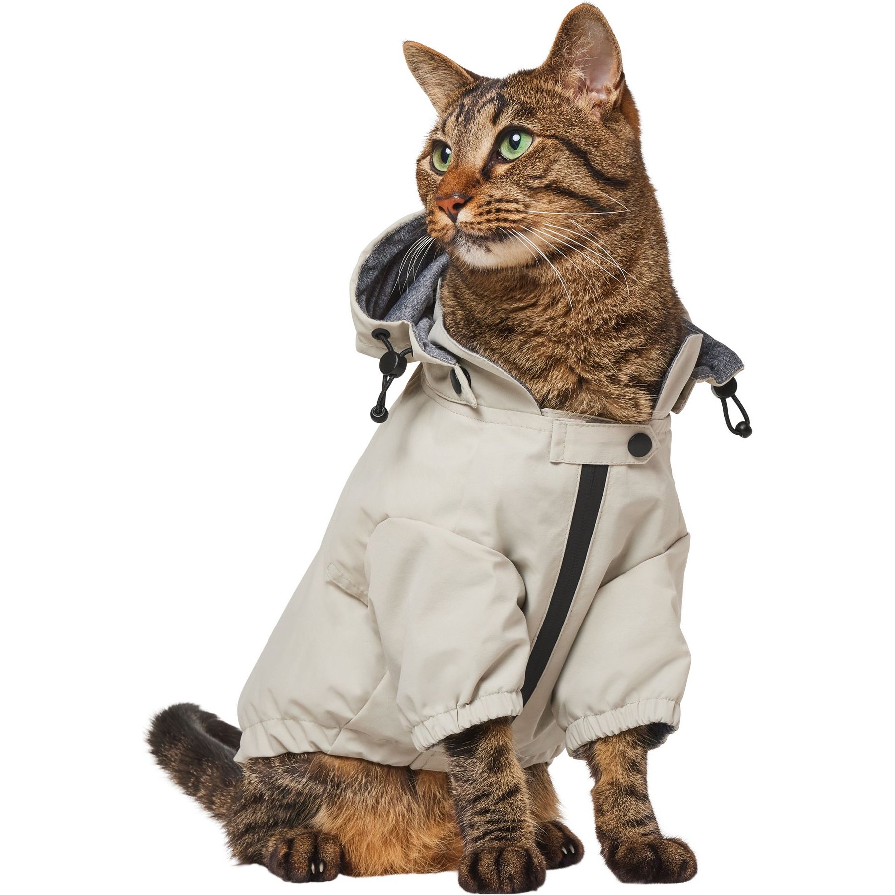 Frisco Ultra Lightweight Dog & Cat Windbreaker with Removable Hood, Gray, Small