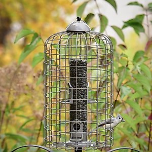 Frisco Ultra Squirrel Defense Feeder