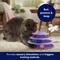 Show in main carousel: Frisco Unicorn & Rainbow Cat Tracks Cat Toy with Catnip slide 4 of 7