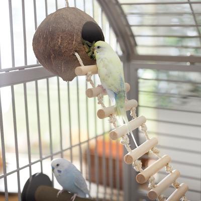 Show full view: Frisco Up The Ladder Coco Bird Hut slide 3 of 7