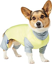 Frisco UPF 30+ Colorblock Dog & Cat Playsuit, Green, Medium