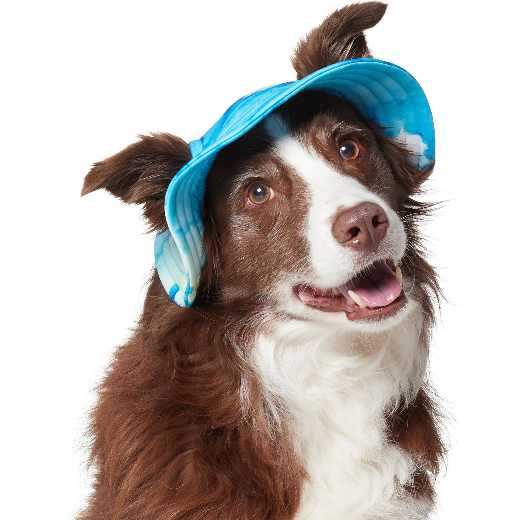 捨七　summer holiday PET summer pet harness - rainbow | Five Below