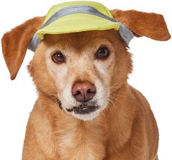 Frisco UPF 50+ Colorblock Dog & Cat Cap, Lime, Medium/Large