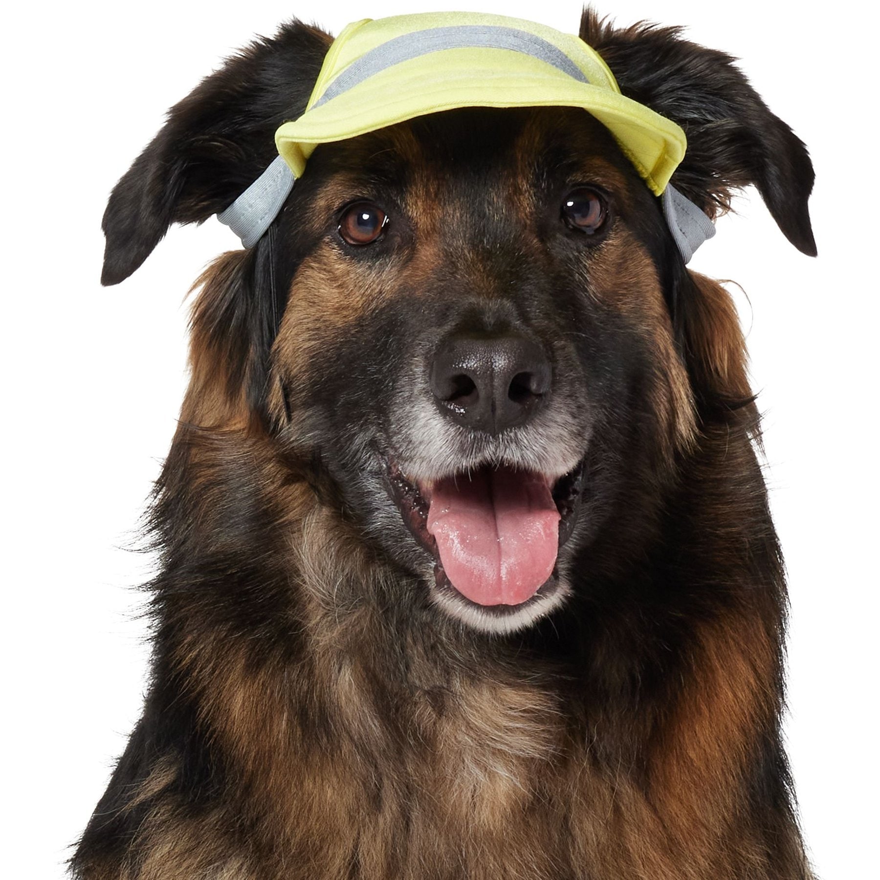 Frisco UPF 50+ Colorblock Dog & Cat Cap, Lime, X-Large/XX-Large