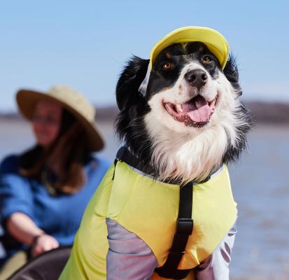 Show full view: Frisco UPF 50+ Colorblock Dog & Cat Cap, Lime, X-Large/XX-Large slide 5 of 7