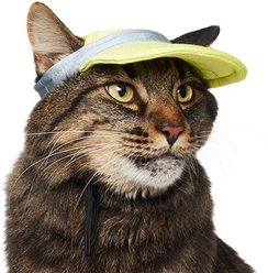 Frisco UPF 50+ Colorblock Dog & Cat Cap, Lime, X-Small/Small