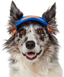 Frisco UPF 50+ Colorblock Dog & Cat Cap, Red, Medium/Large