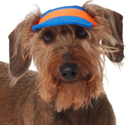 Show full view: Frisco UPF 50+ Colorblock Dog & Cat Cap, Red, X-Small/Small slide 3 of 7