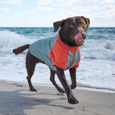 Show full view: Frisco UPF 50+ Dog Scuba Shirt, Orange, Medium slide 8 of 11